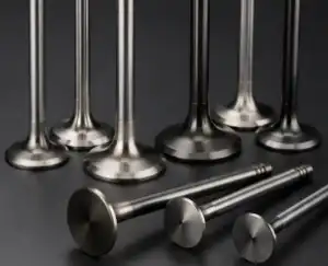 How to Choose the Right Engine Valve for Your Application?